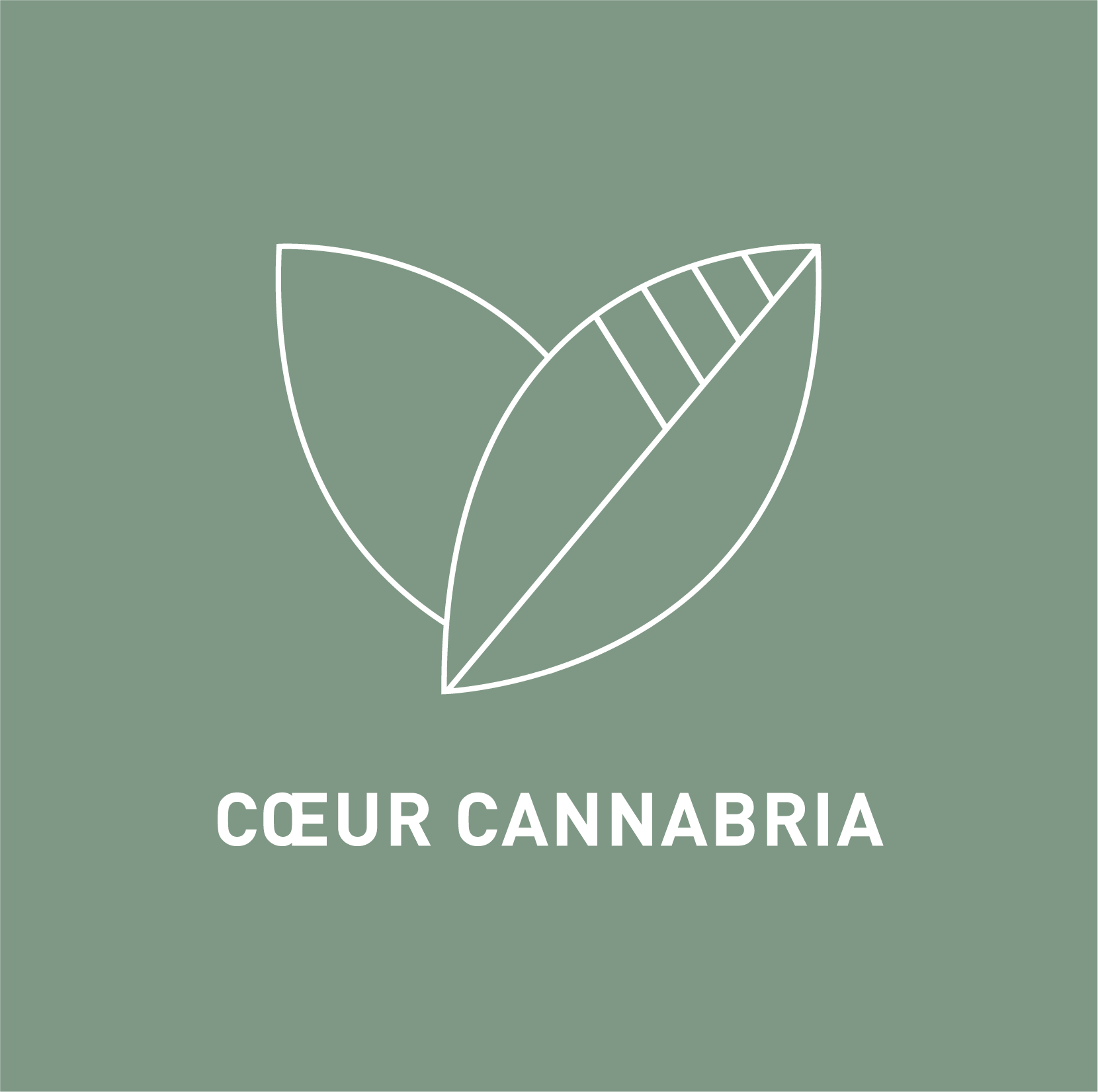 logo_program