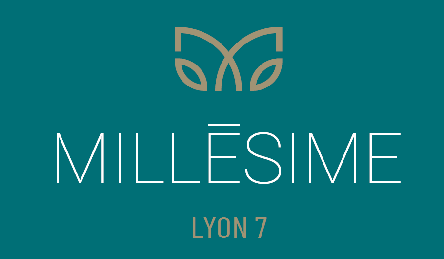 logo_program