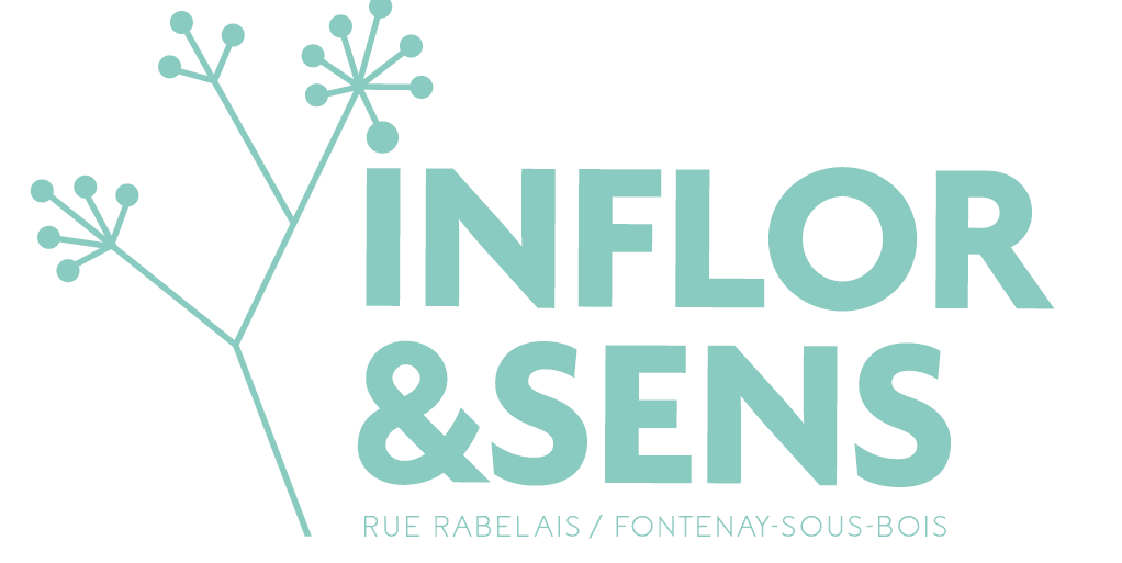logo_program