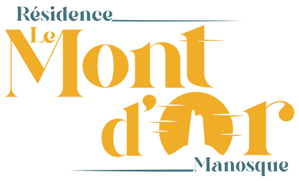logo_program