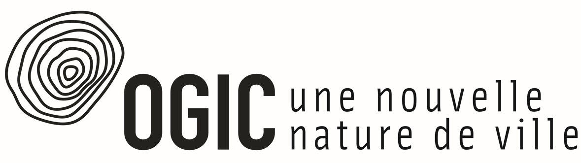 logo_program