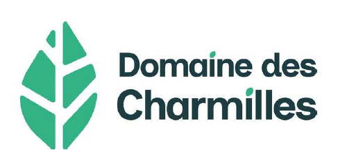 logo_program