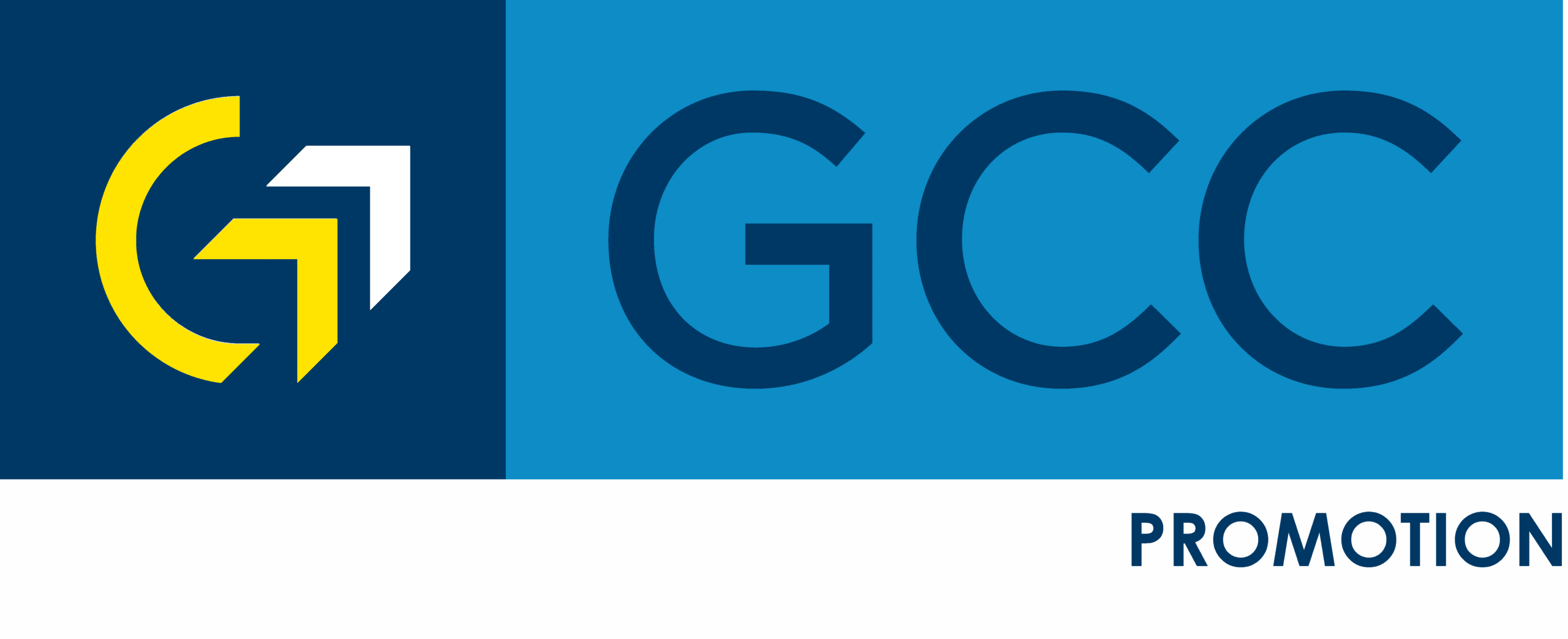 logo_program